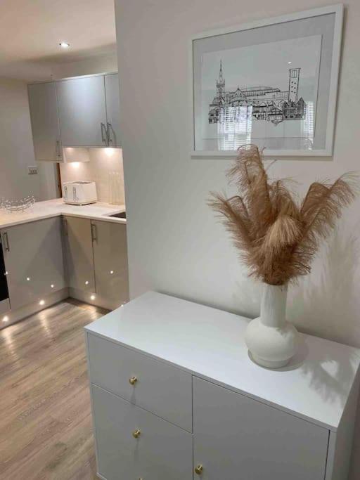Luxury Town Centre Apartment Walking Distance To Rsc Theatre 埃文河畔斯特拉特福 外观 照片